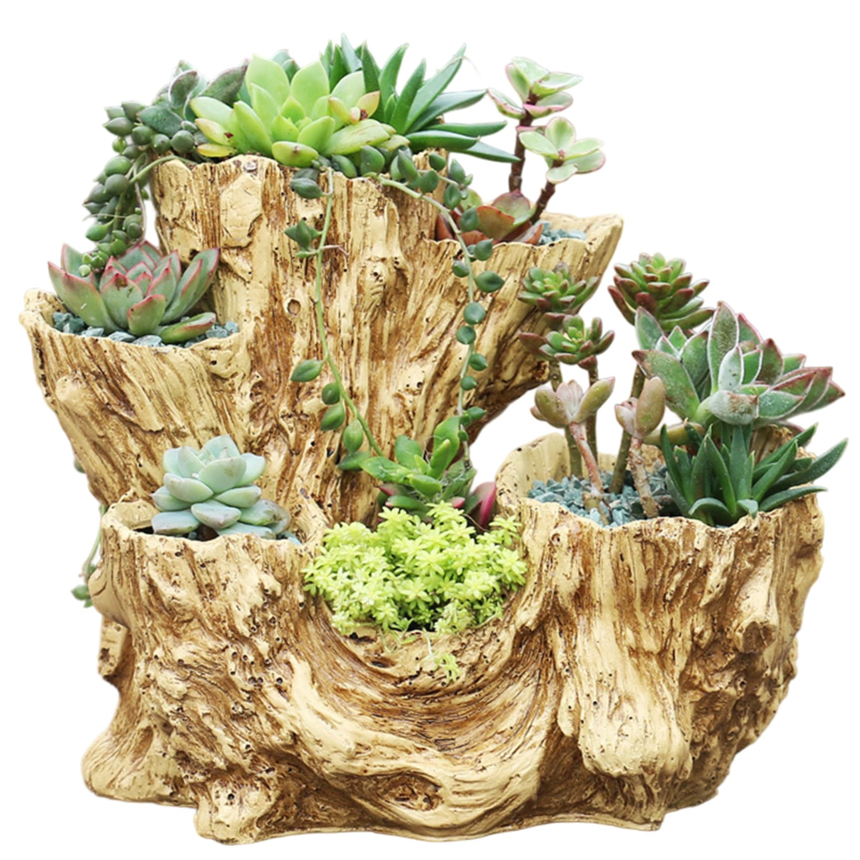 Latemeia Log Color Driftwood Planter, Resin Tree Stump Log Pot With Drainage Holes, Rustic Indoor Outdoor Planter For Succulents, Cactus, Small Plants, Home Decor, Homeused