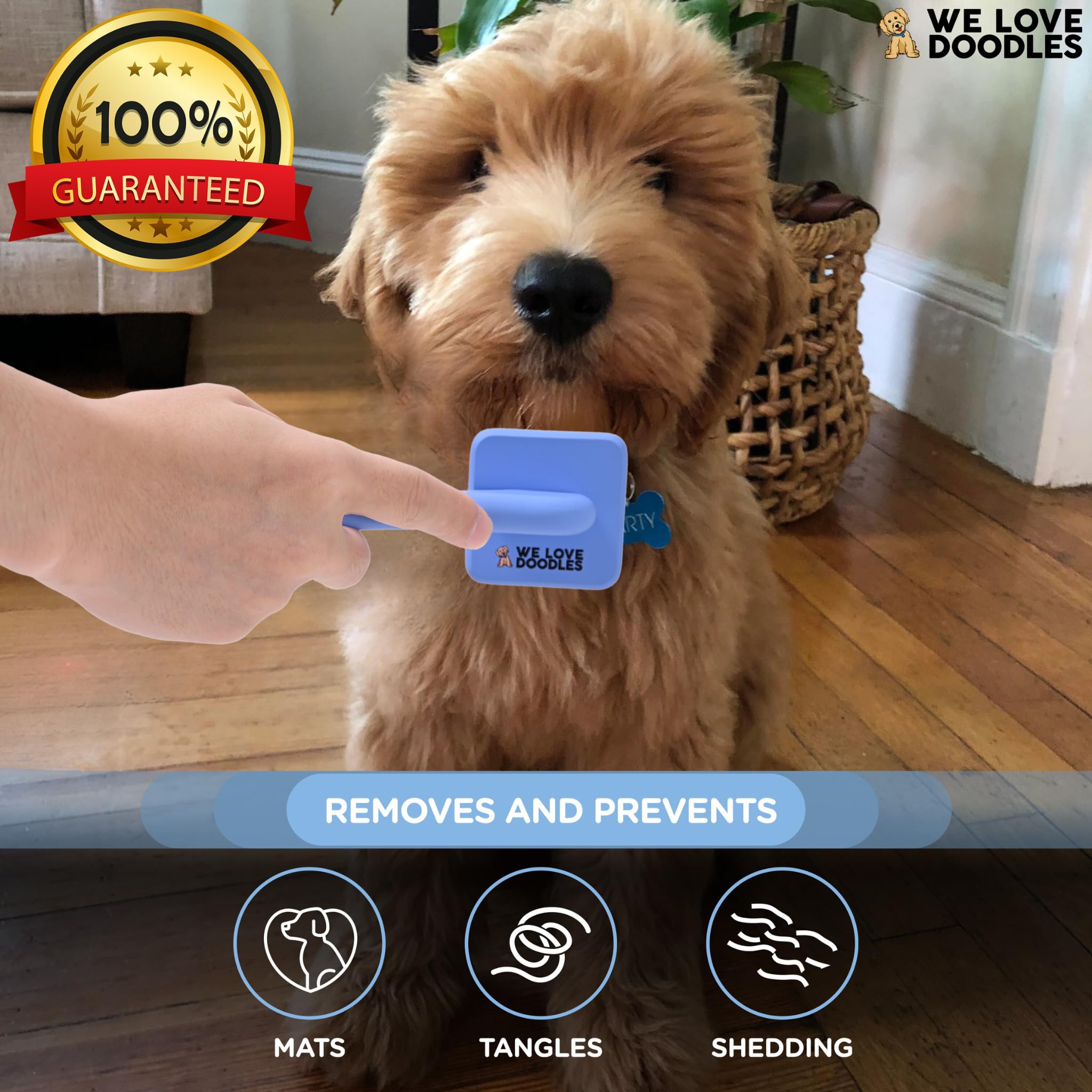 We Love Doodles Cepillo de pelo largo Goldendoodle para pelos de mascotas – Los mejores cepillos para caniche y garabatos dorados – Cepillo de pelo largo Goldendoodle para desenredar (extra pequeño)