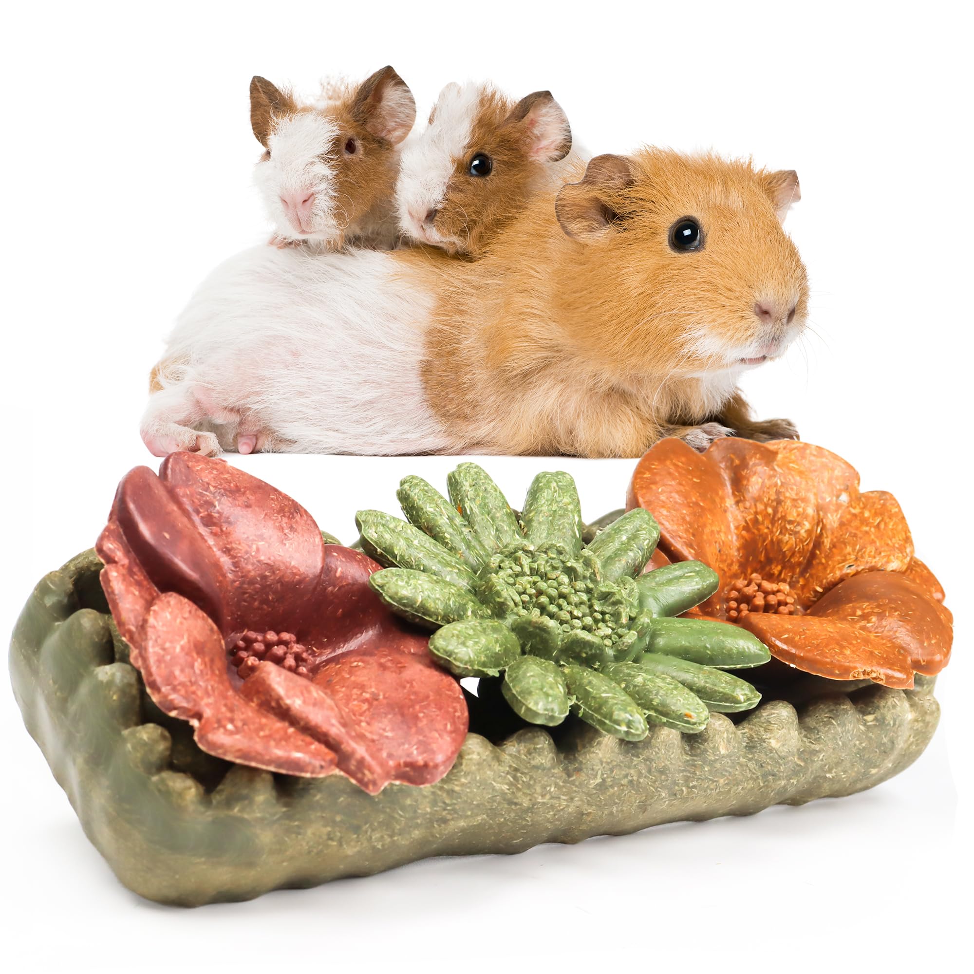 TEEWY Guinea Pig Chew Toys, Prevent Teeth Overgrowth, Natural Timothy Grass & Vegetables, Hamster Chew Toys, Guinea Pig Toys, Chinchilla Toys, 4PCS,