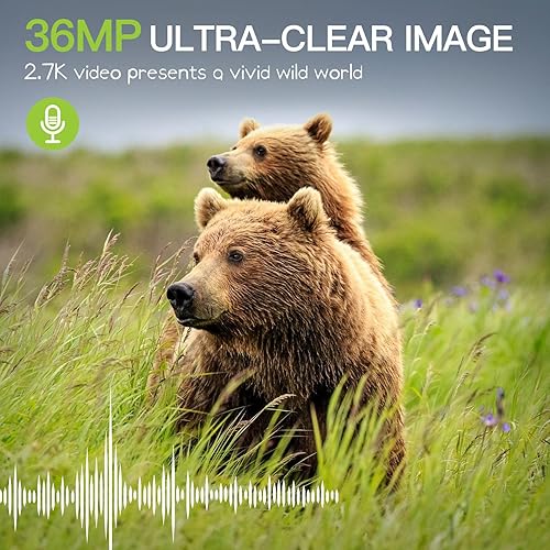 Miniatura 2 de Cámara de rastro, paquete de 2 cámaras de juego de 36 MP 2.7K, tarjeta de memoria de 32 GB, 4 baterías, tiempo de 2.0 pulgadas, pantalla LCD de 2.0