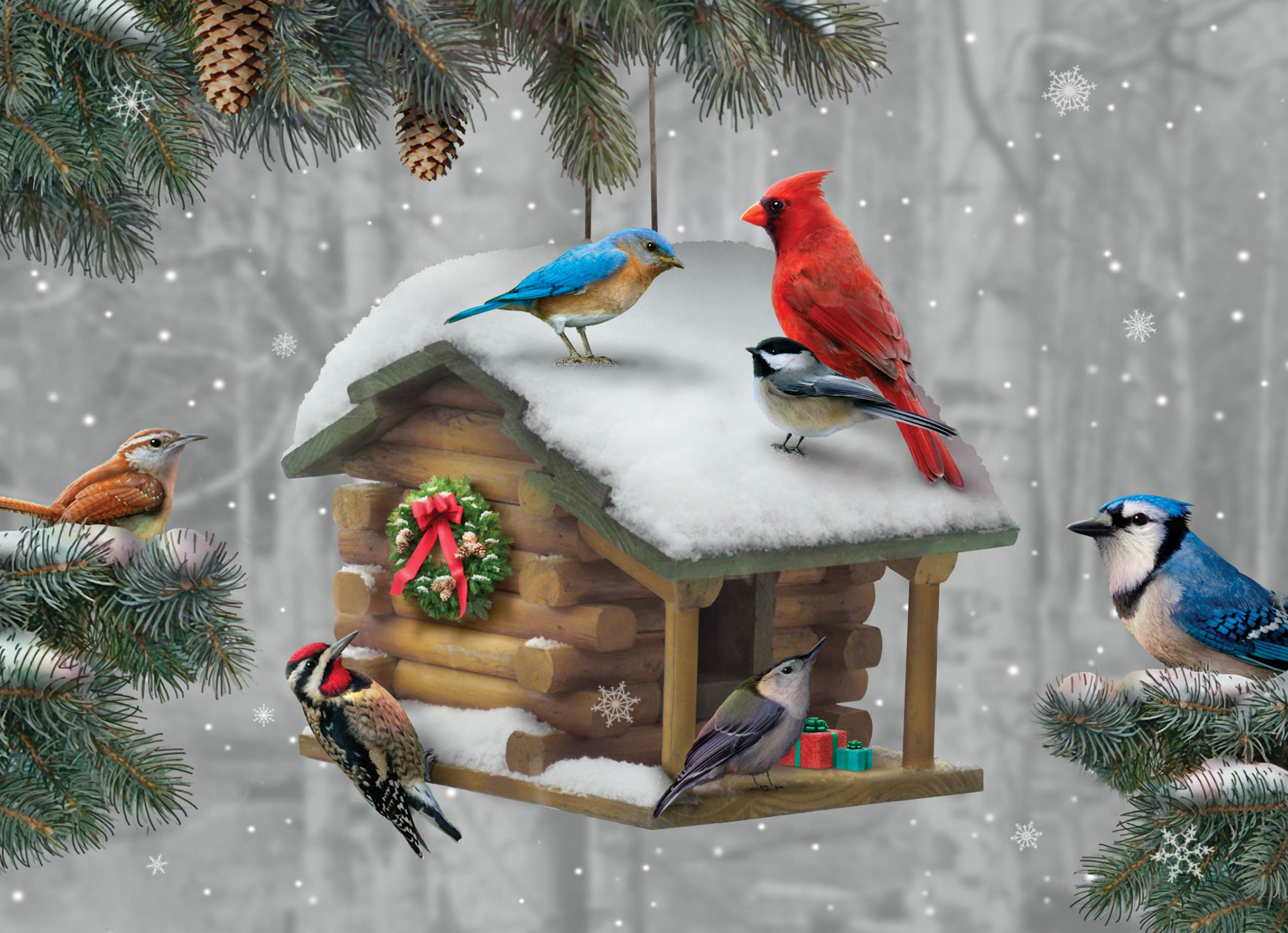 Performing Arts Premium-Weihnachtskarten mit Vogelhaus, 18 Weihnachtskarten, Kardinal Chickadee Wildlife, niedliches Schreibwaren-Set in Box, 17,8 x 12,7 cm, Vogel-Weihnachtskarten mit Umschlägen
