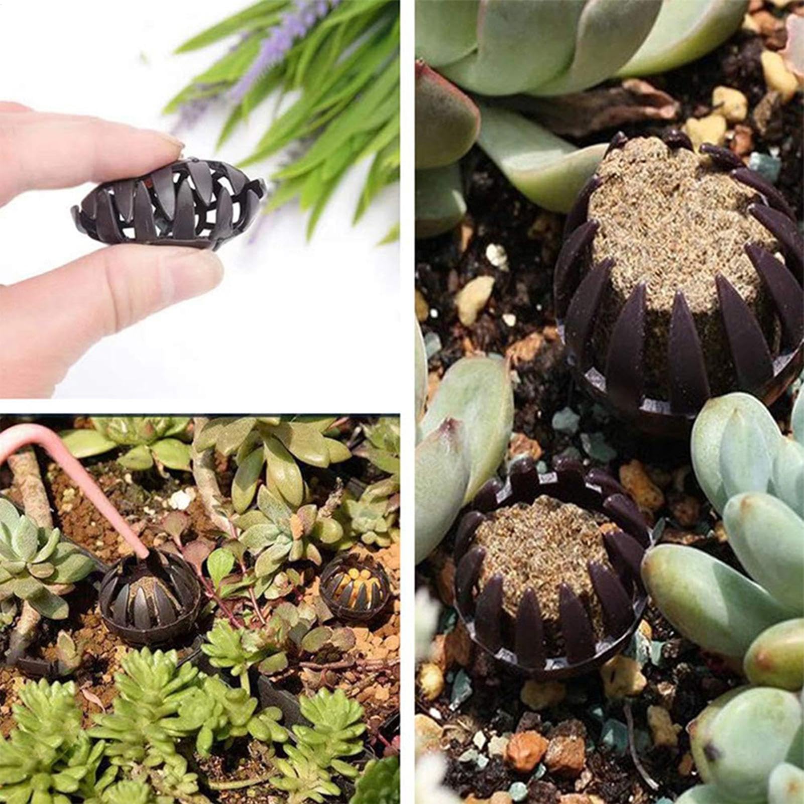 Bonsai Düngerkörbe, Düngerkörbe für Orchideen - 100 Stück Düngerbehälter