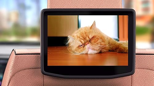 Relaxing Lullaby for Cat and Kitten On Fire TV | NO ADS