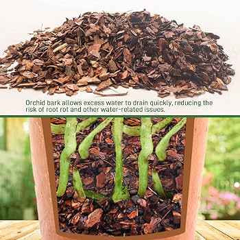 Amazon.com : 9qt Orchid Bark Horticultural Grade- Natural Mulch