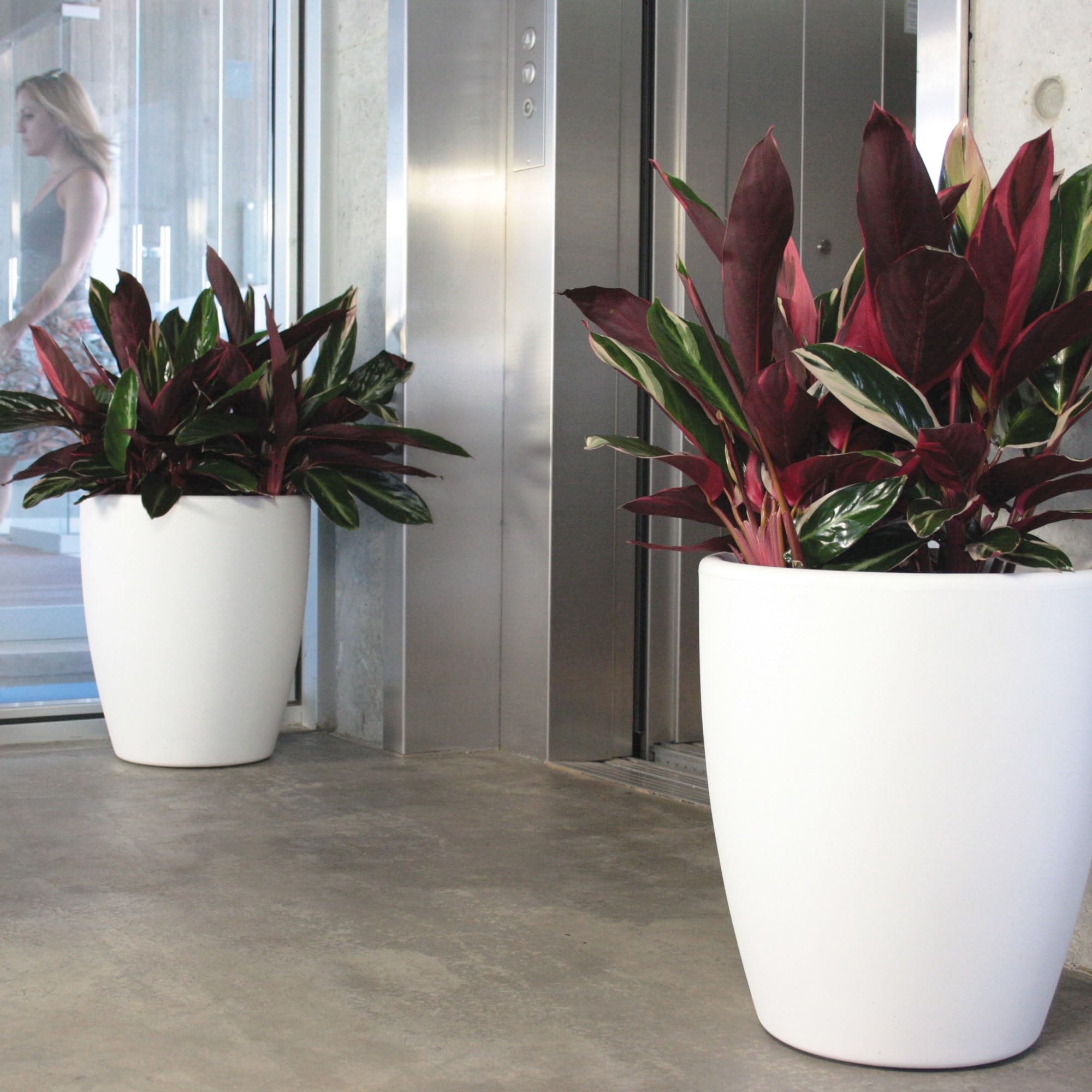 WELL HOME MOBILIARIO & DECORACIÓN Vaso accord Ø60 cm stampa