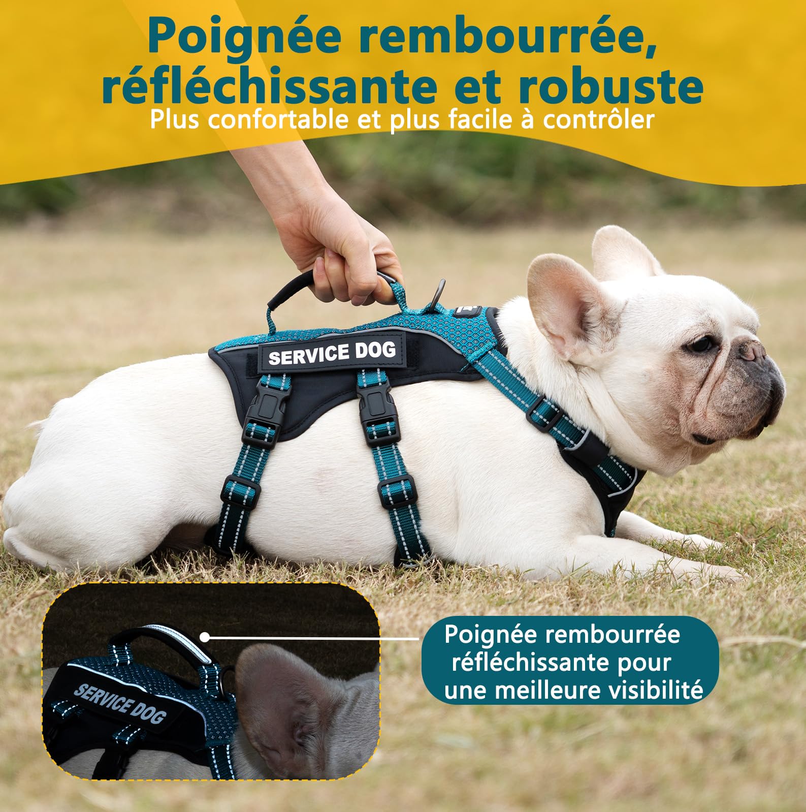 Huntboo Harnais Chien d’Assistance avec 6 Écussons, Harnais Anti Traction pour Chien avec Poignée, Harnais Anti Fugue Chien, Réfléchissant et Réglable, pour Dressage et Promenade (Bleu Sarcelle,L)