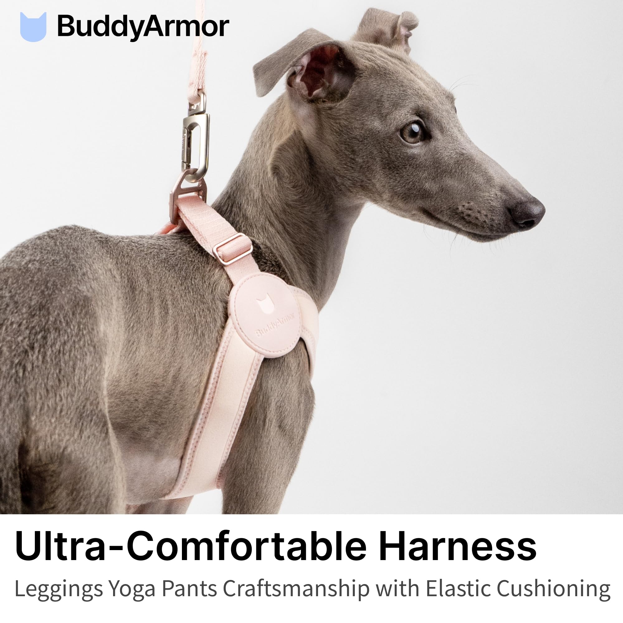 Harnais ultra confortable, réglable et doux, avec fermeture à boucle en alliage, léger et extensible pour chien de petite taille, pour la promenade et le dressage (noir minuit, taille L, 48