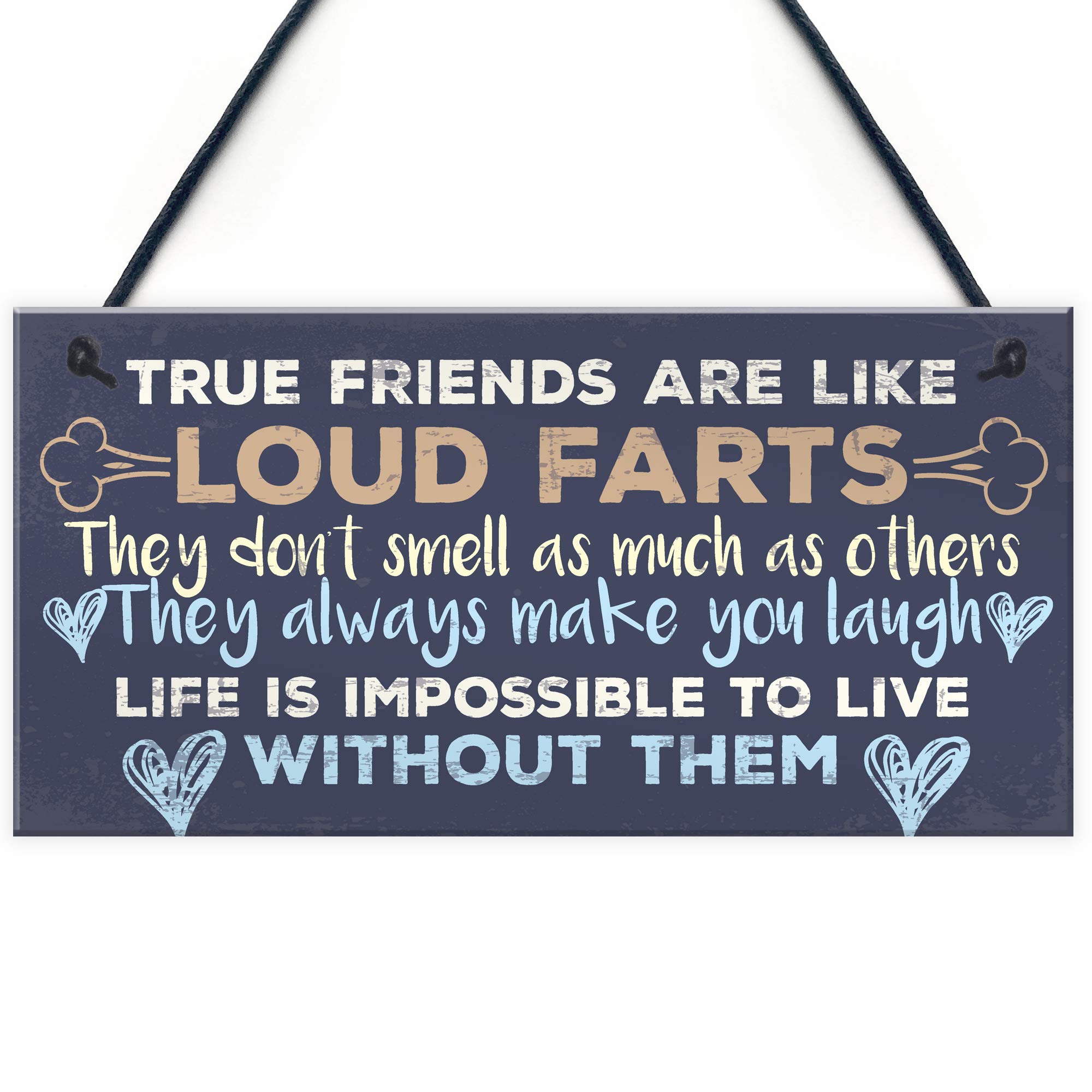Red Ocean Funny Best Friend Friendship Plaques Shabby Chic Cute Thank You Birthday Gifts For Her For Him