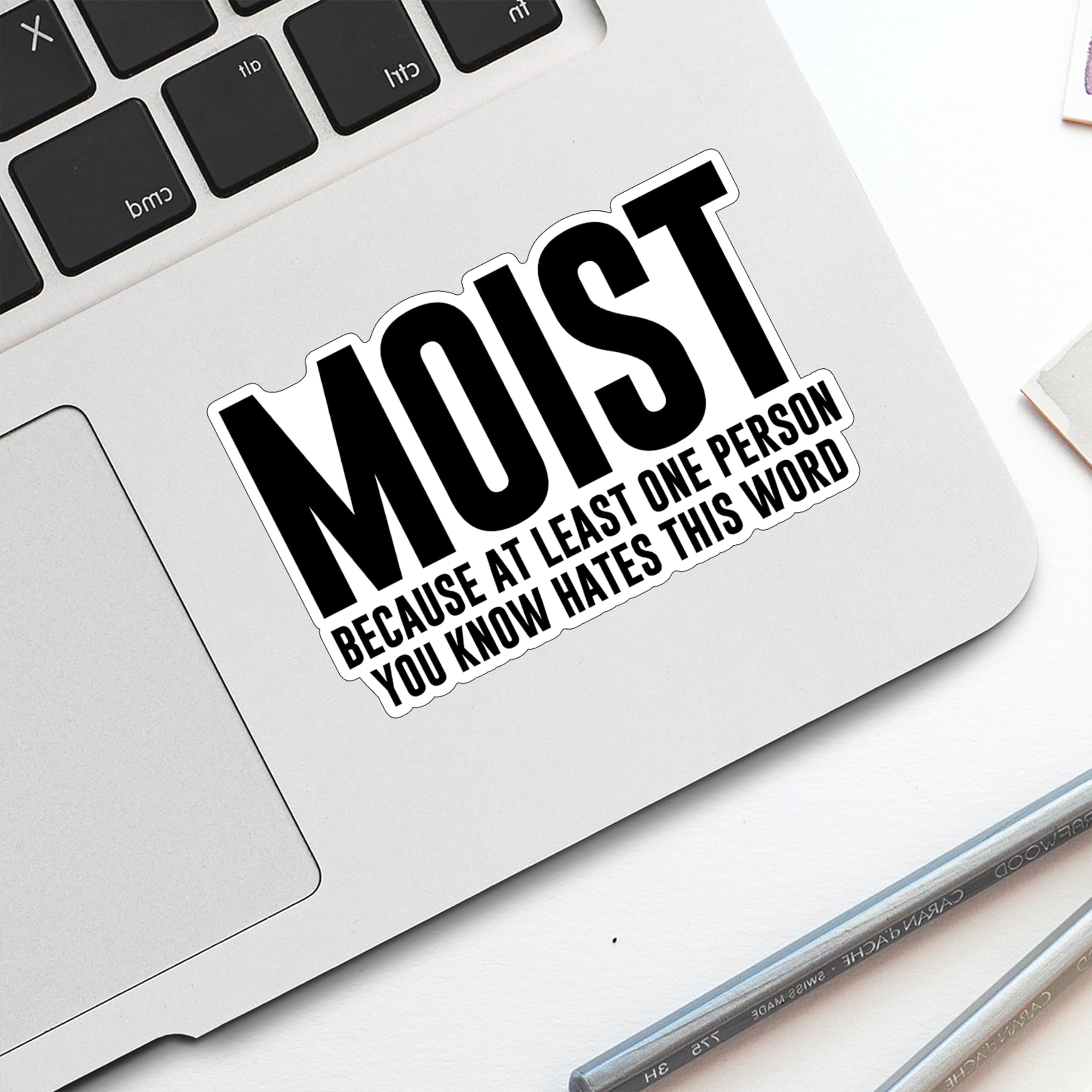 Adesivo umoristico con citazione sarcastica, impermeabile, per laptop, bottiglia d'acqua, custodia per telefono, notebook, 7,6 x 4,8 cm, confezione da 3 pezzi