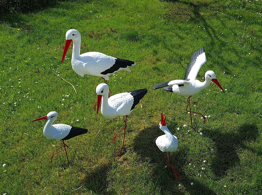 Jardín Figura Familia de cigüeñas 5 Cigüeña Blanco de plástico decoración