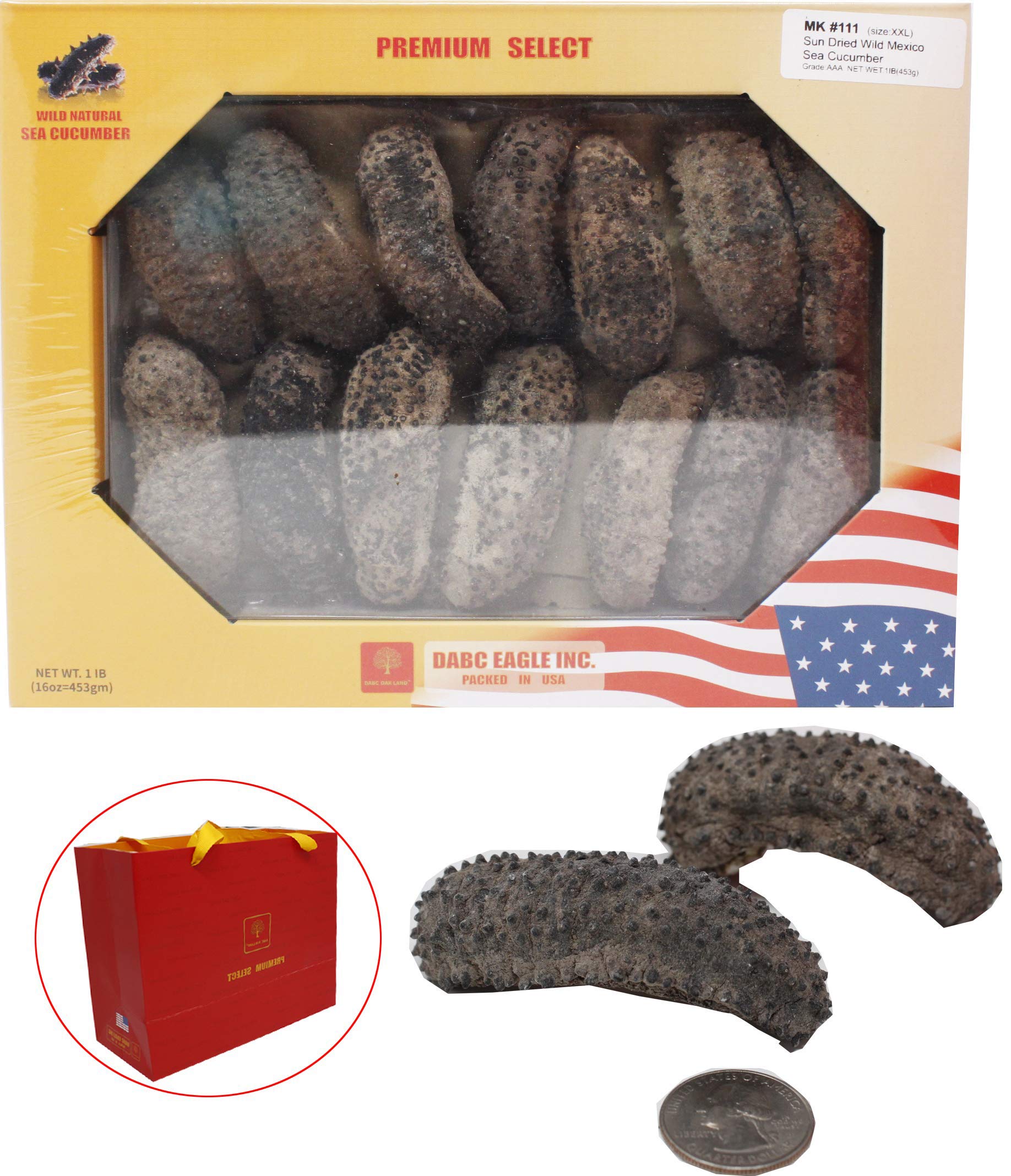 Amazon Com Dabc Oak Land 011 1lb 453g Box Sun Dried Wild Caught Mexico Sea Cucumber a Grade All Natural Nutritious 特级墨西哥野生鲍鱼参 梅花刺参特大号10 15pcs Lb 011 Box