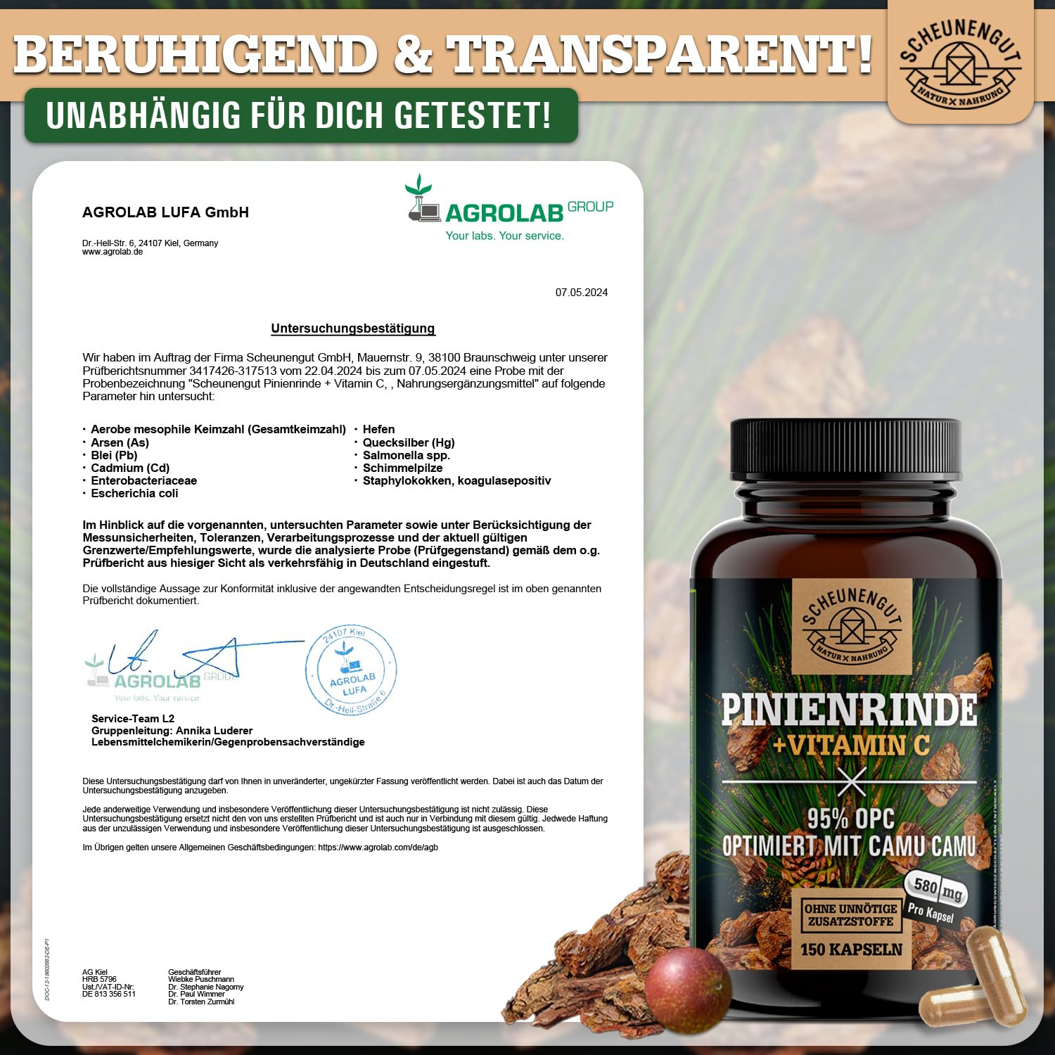 Pinienrindenextrakt -475mg OPC je Kapsel- WICHTIG: 25:1 Extrakt (=14500mg Französische Meereskiefer je Dosis) +Vitamin C I 150 Kapseln mit 95% OPC I Laborgeprüft -DE- SCHEUNENGUT®
