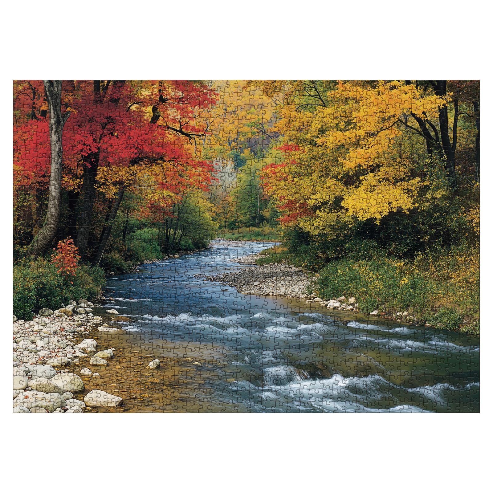 Forest Puzzle 1000 Piece for Adult, Jigsaw Puzzles - Amazon Canada