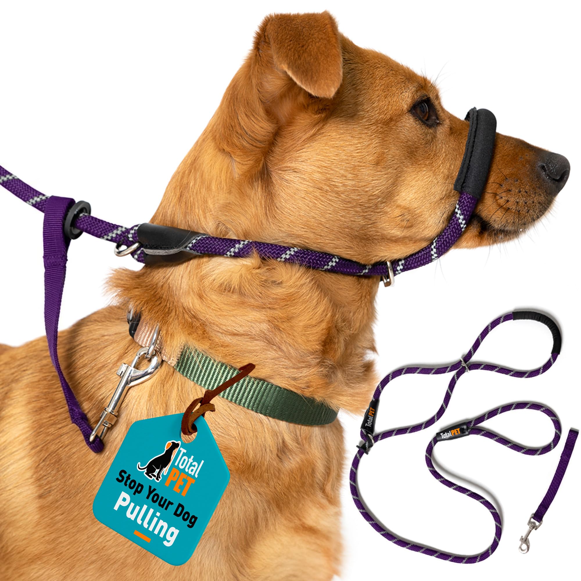 Purple Total Pet Figure of 8 Dog Lead - Anti Pull Stop Dogs Pulling - Rope Slip Leads with Padded Nose Support (Medium/Large)
