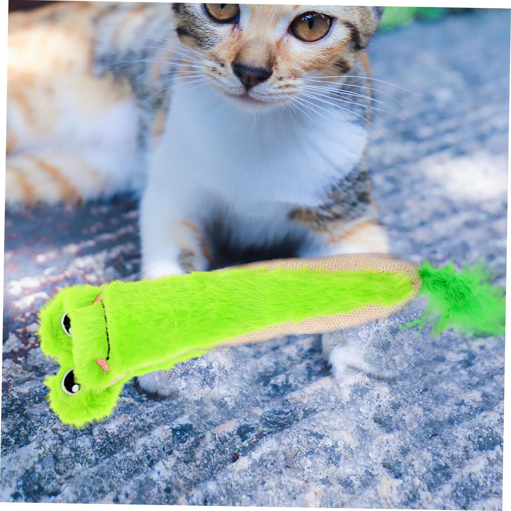 Beavorty Jouets pour Chats Souris en Peluche Douce Et Papier Froissé Jouet Interactif pour La Santé Bucco-
