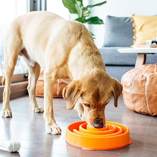 Vista 13 de Outward Hound Fun Feeder Slo Bowl Cuenco para perro de alimentación lenta, tamaño grande/regular, color turquesa