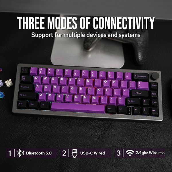 EPOMAKER EK68 65% Guarnizione NKRO Hot Swappable Triple Mode Tastiera da Gioco Meccanica con Manopola, LED Rivolto a sud, Retroilluminazione RGB per Win/Mac (Nero Argento, Flamingo Switch) - 3