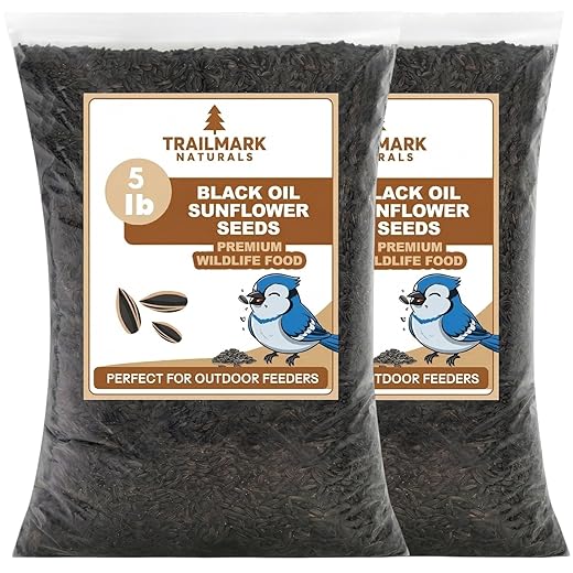 2 Pack of 5 Lb Bags (10 Pounds Total) Black Oil Sunflower Seeds for Birds – Wildlife Food – Non - GMO -Grown in the USA - Black Oil Sunflower Seeds for Birds