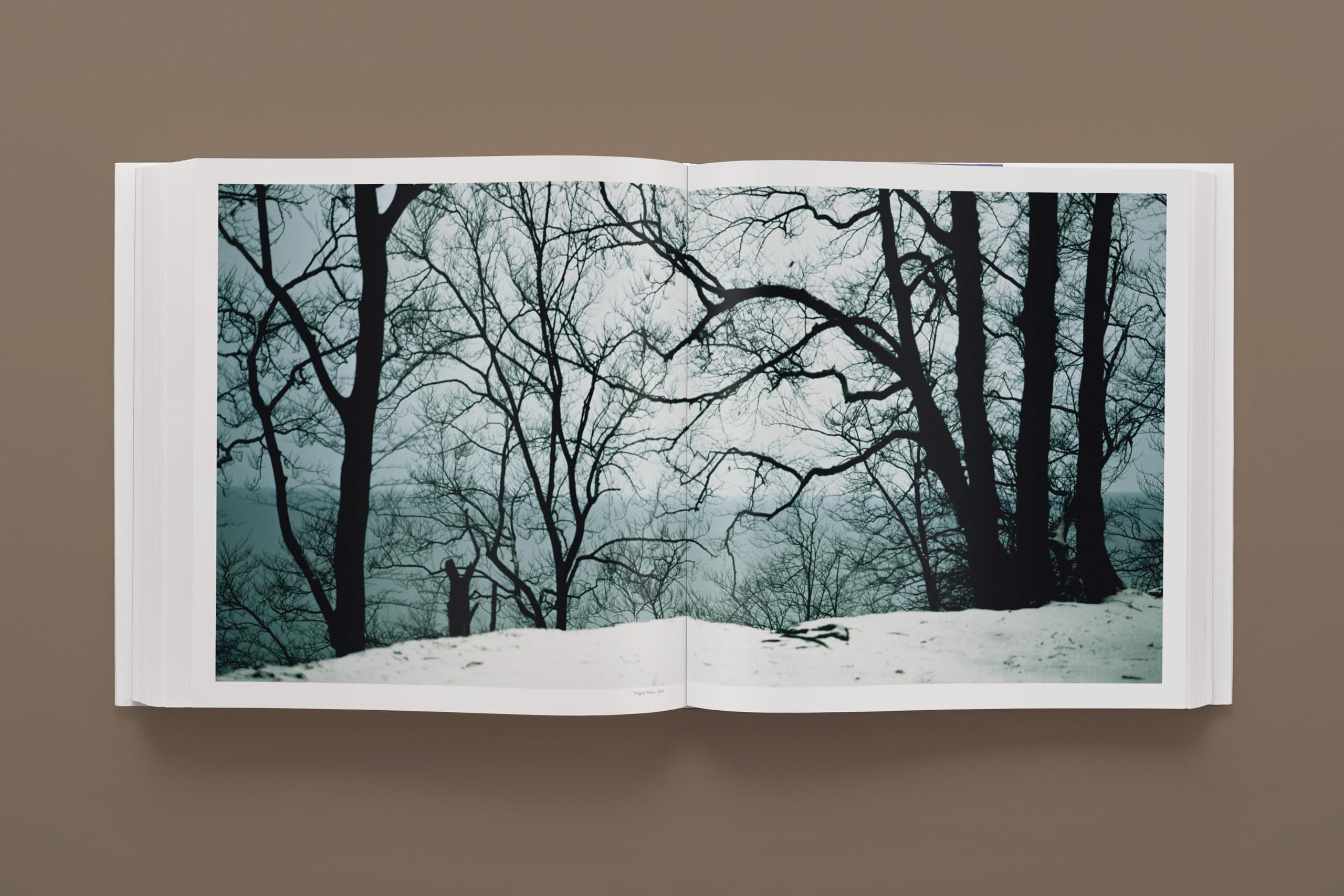 Darren Almond: Fullmoon