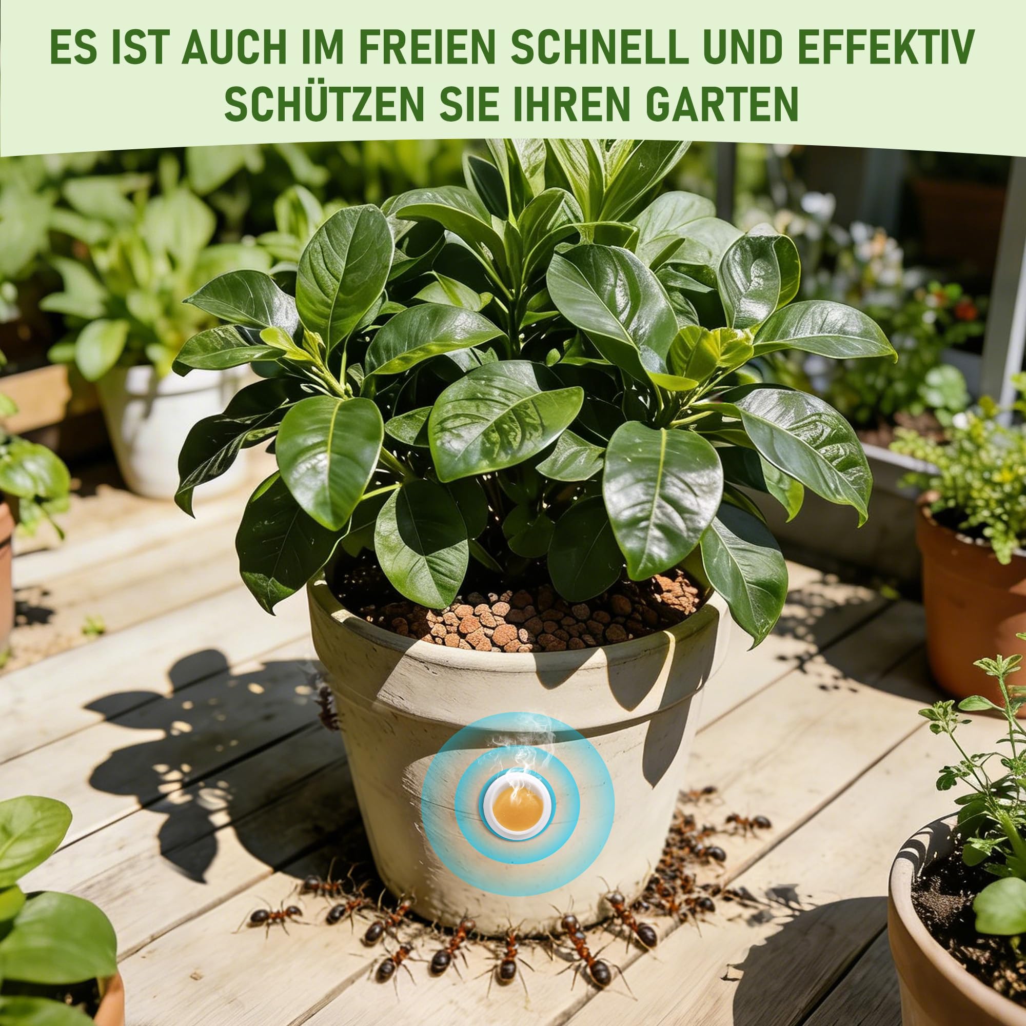 Pièges à fourmis Lot de 64 pour Intérieur Extérieur Jardin Terrasse Animaux Enfants