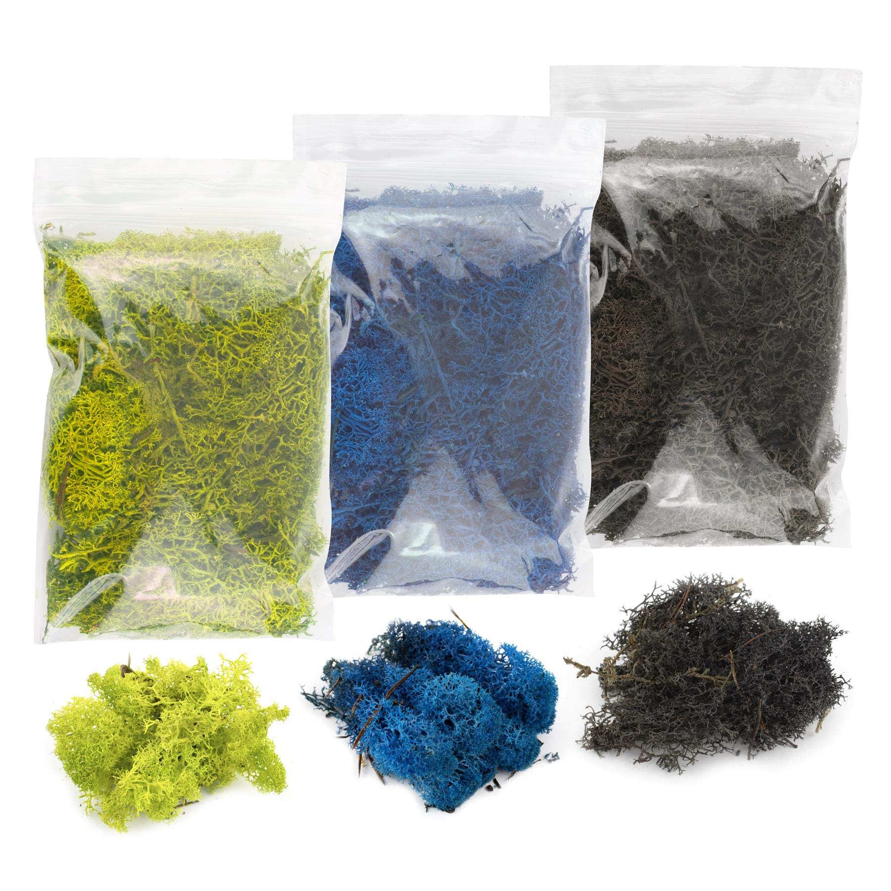 War World Scenics Lichen Moss Model Foliage Multi-Pack 3 x 20g (Black, Blue, Light Green) –Railway Modelling Wargame Basing Scenery Landscape Trees Bushes Hedges Diorama