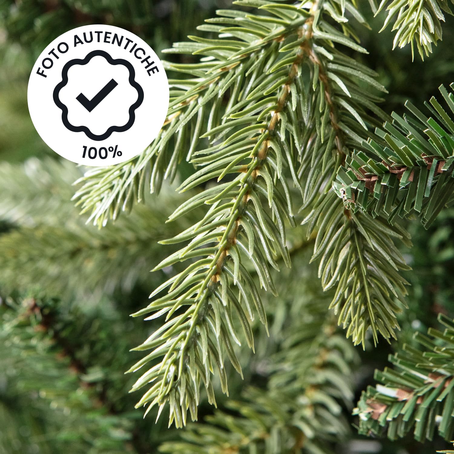 Albero di Natale Extra Folto e Realistico, Naturale in PVC di Alta Qualità, Facile da Montare con Base Stabile, 1372 Rami Fitti per Decorazioni Natalizie di Grande Impatto, 210 cm