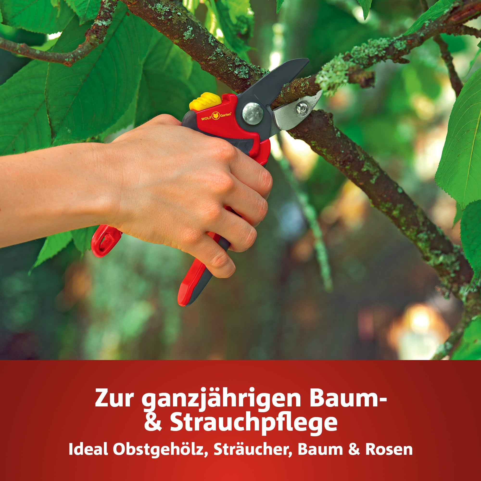 Wolf-Garten RS 4000 Premium Plus Cesoie a Battente, Rosso/grigio, 14x19x29 cm