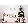 Product Photo 4