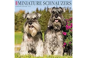 2023 Just Miniature Schnauzers Wall Calendar