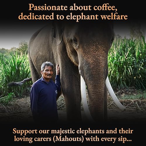 Miniatura 2 de Mahout's Blend El café más raro y caro del mundo. Pruébalo naturalmente refinado, naturalmente caro hecho por elefantes, 4-5 porciones. Tostado