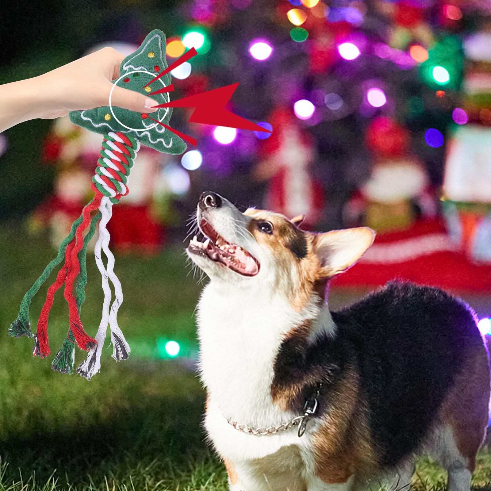 SCENEREAL Weihnachtliches Hundespielzeug aus Seil, 4 Stück, Kauspielzeug mit Strumpf zur Zahnreinigung, quietschendes Plüsch-Welpenspielzeug, interaktives Hundestrumpffüller, Weihnachtsgeschenke für