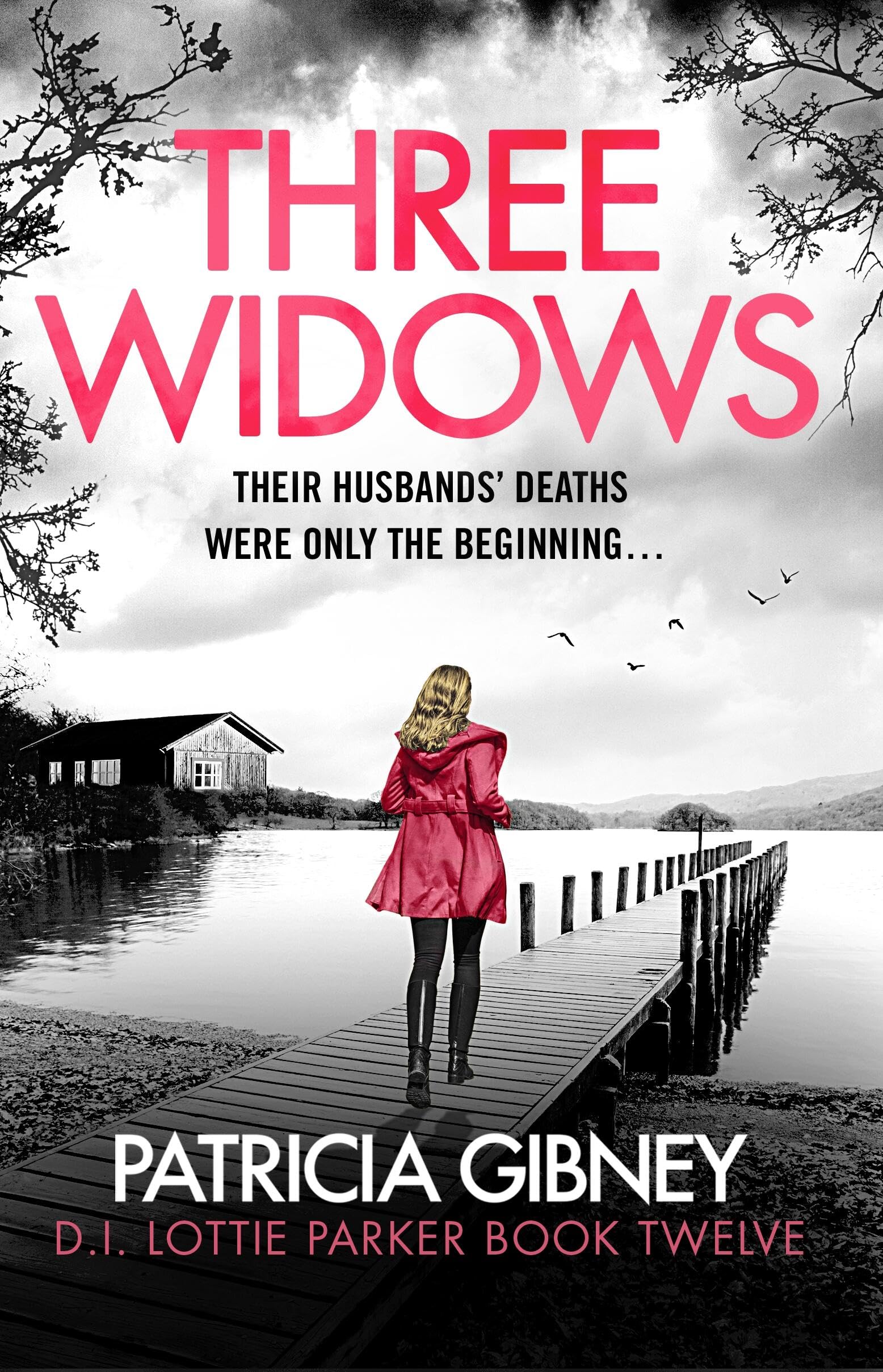 Three Widows by Patricia Gibney Paperback