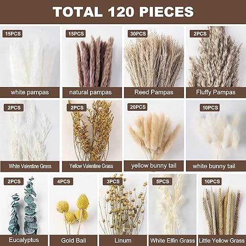Miniatura 3 de RaiZinnKage Ramo de mezcla de hierba de pampa seca natural, 120 unidades, flores secas bohemias para decoración del hogar, ramo para decoración de
