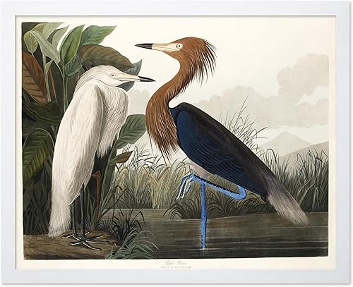 Miniatura 16 de Poster Master Póster vintage de colibríes, impresión de formas de arte retro en la naturaleza, arte de pájaros, regalo para él, ella y amante de los