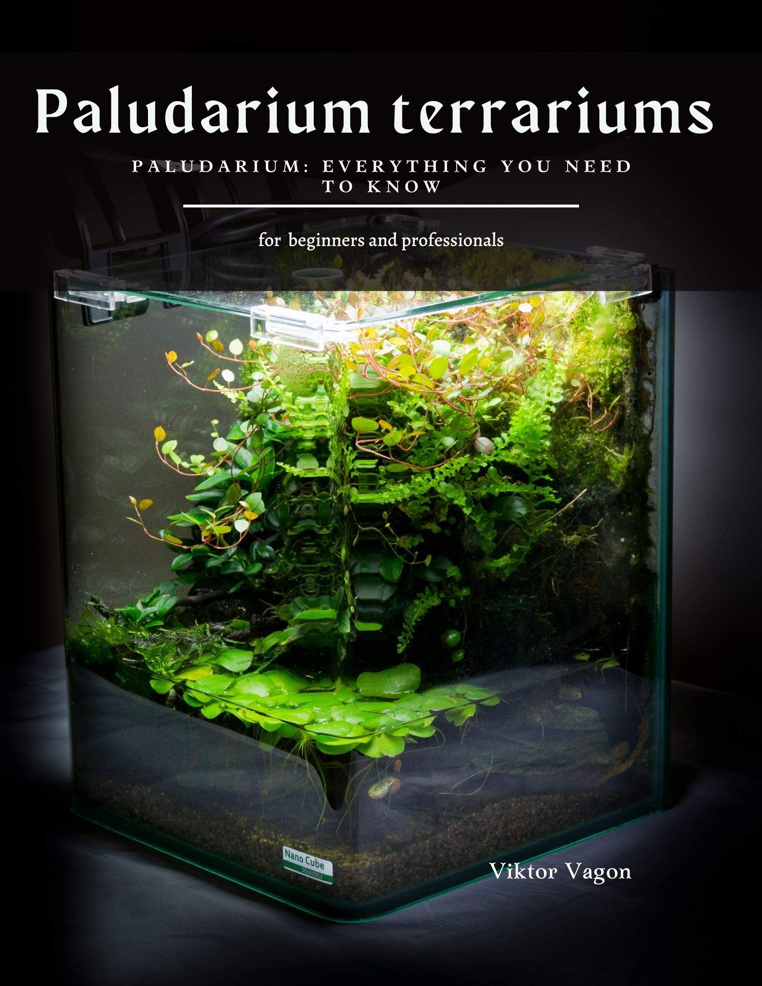 Buy Paludarium terrariums Paludarium Everything You Need To Know