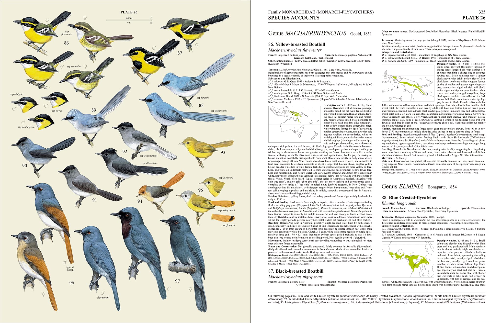 Handbook of the Birds of the World – Volume 11: Old World Flycatchers to Old World Warblers: v. 11