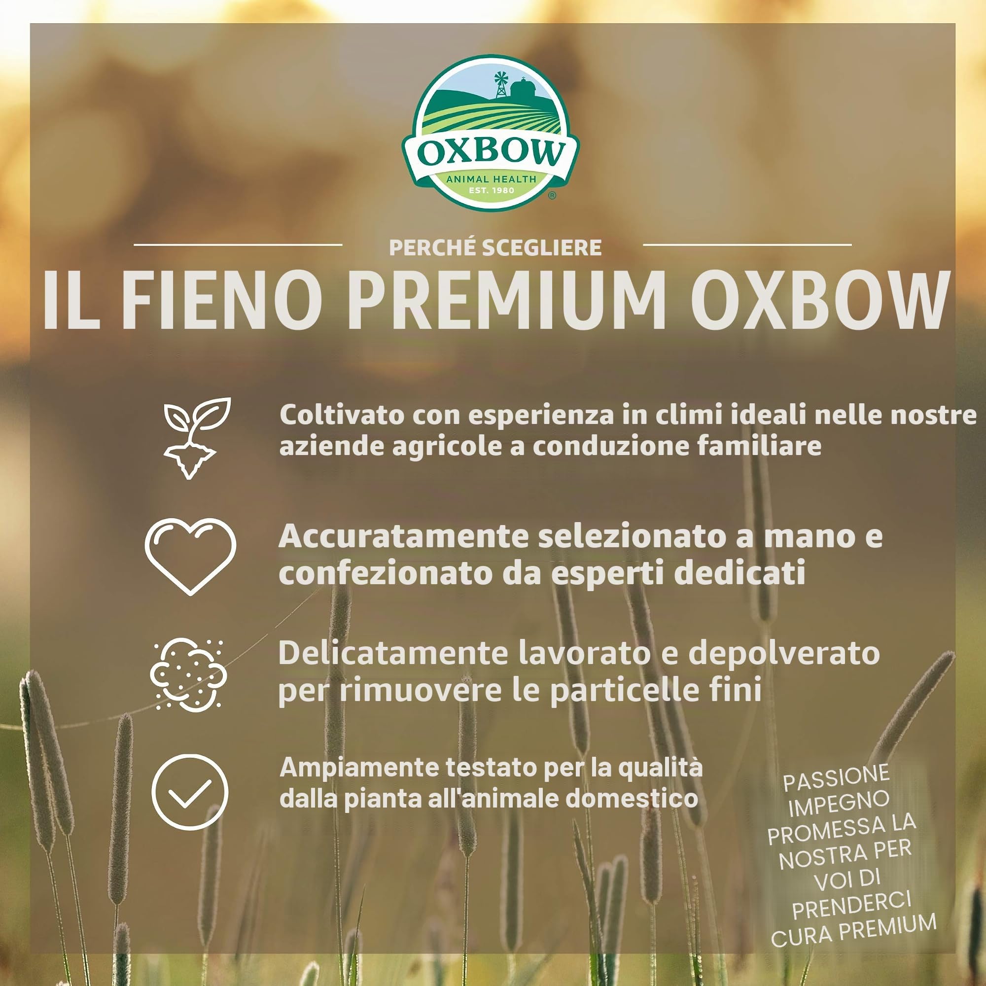 Oxbow - Fieno di erba medica per la salute degli animali, 4,1 kg