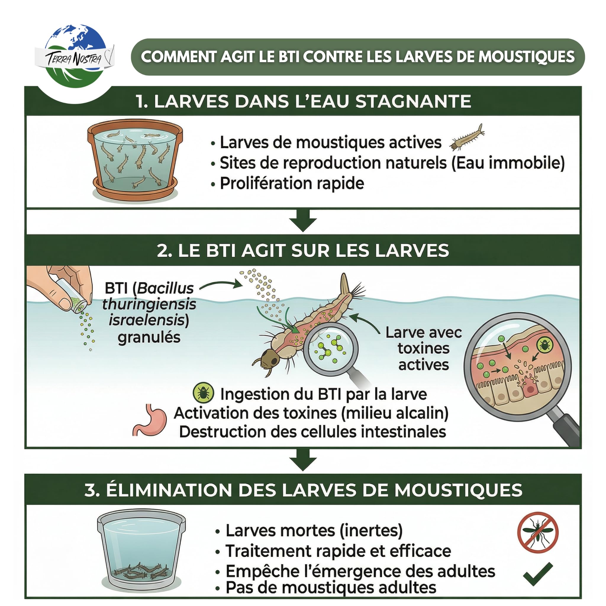 TERRA NOSTRA - Anti Moustiques Larvicides - Formulé avec du BTI - Compatible Fosse Septique - Traitement Eaux Stagnantes jusqu'à 25m² - Fabriqué en France - Pot 500g