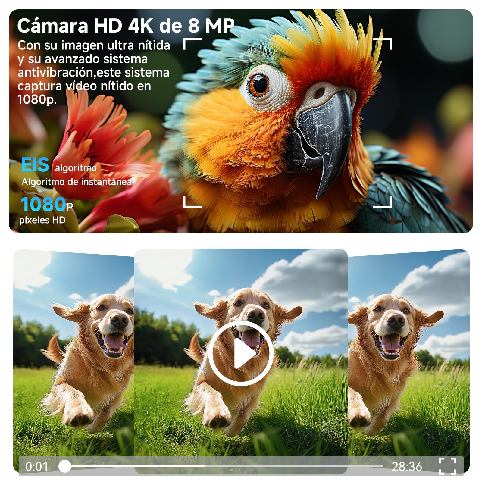 Gafas Inteligentes IA, Smart Glasses con Camara 4K, Dos Pares de Lentes, vídeo HD 1080p y Grabación de Audio con Estabilización de Imagen, Reproducción de Música y Traducción en Tiempo Real