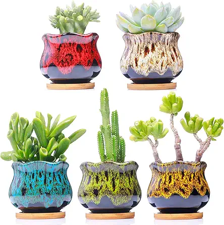 Cute Ceramic Succulent Garden Pots, Planter with Drainage...