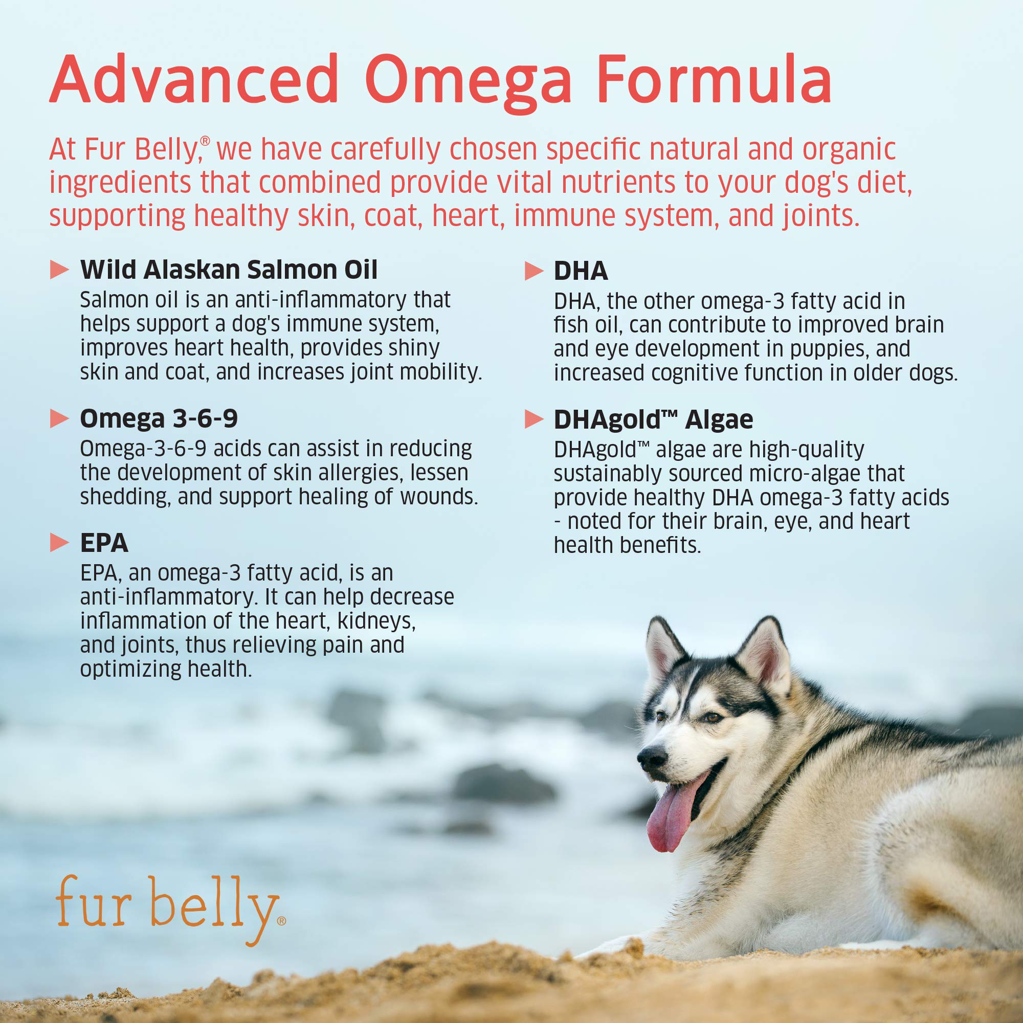 pawlife omega 3 for dogs