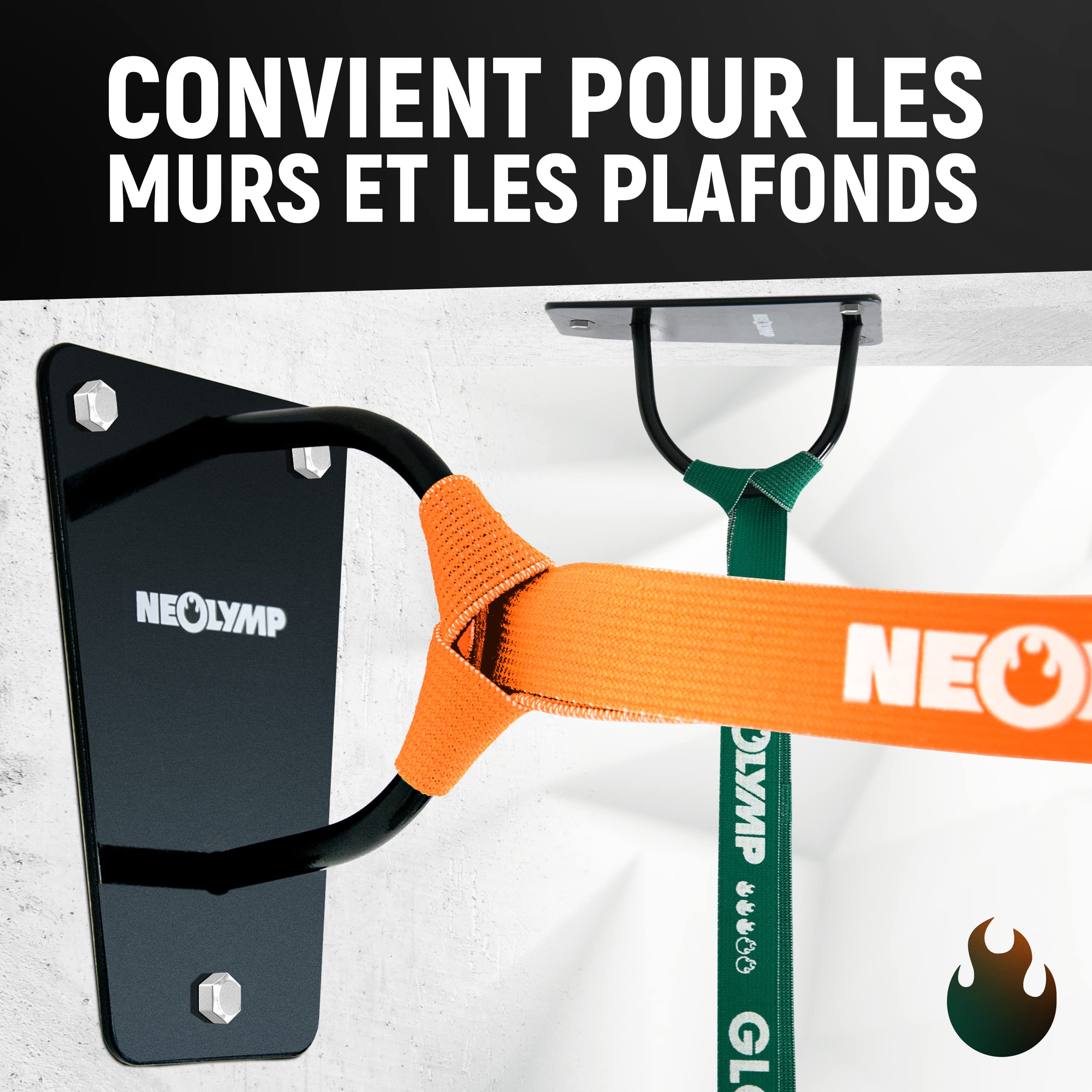 NEOLYMP Prime Support Mural en Acier Inoxydable I Charge jusqu'à 200 KG I Support Plafond pour Sling Trainer