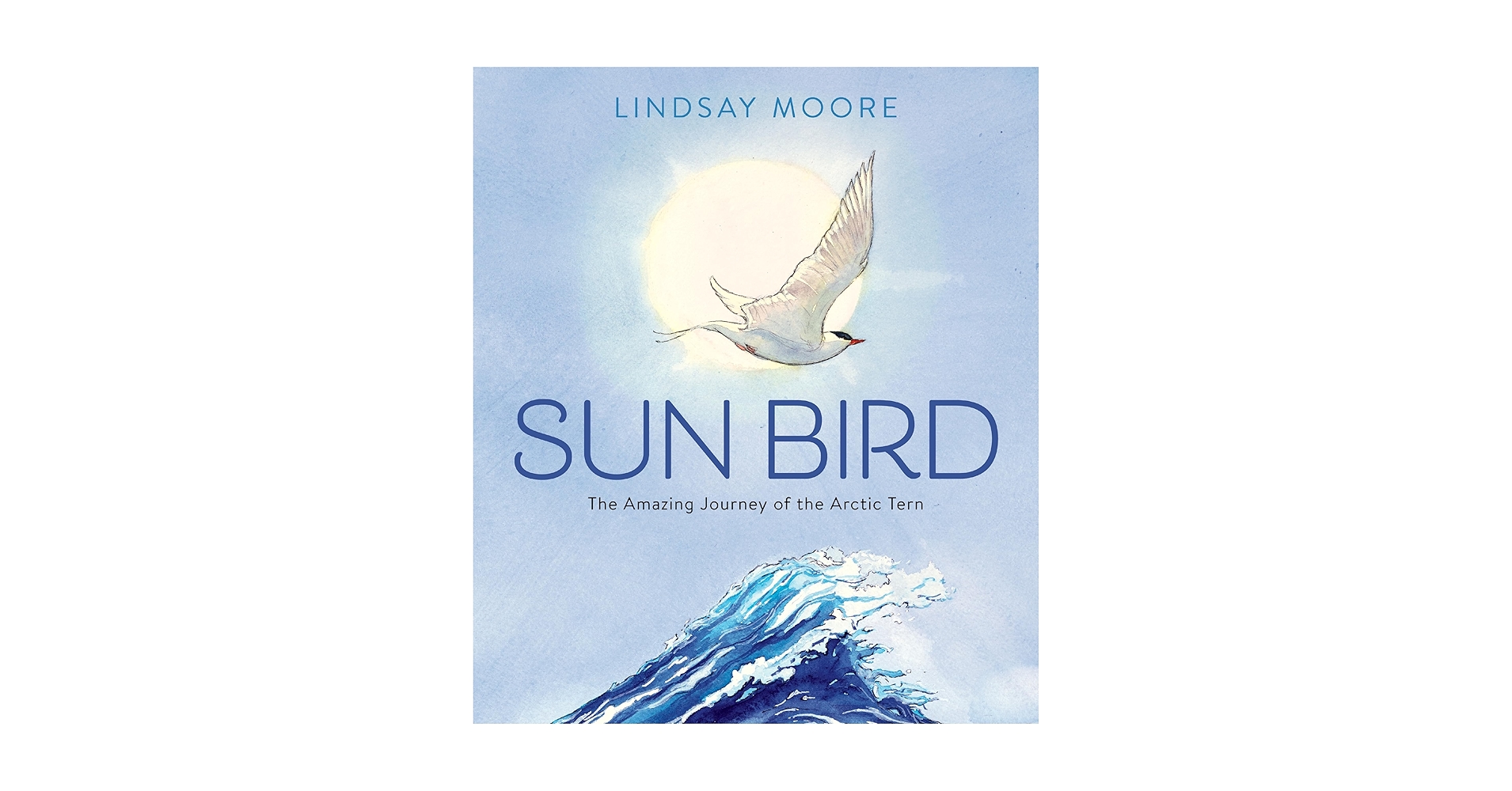 洋書 The Voyage of the Arctic Tern The Voyage of the Arctic Tern: Montgomery, Hugh, Poullis