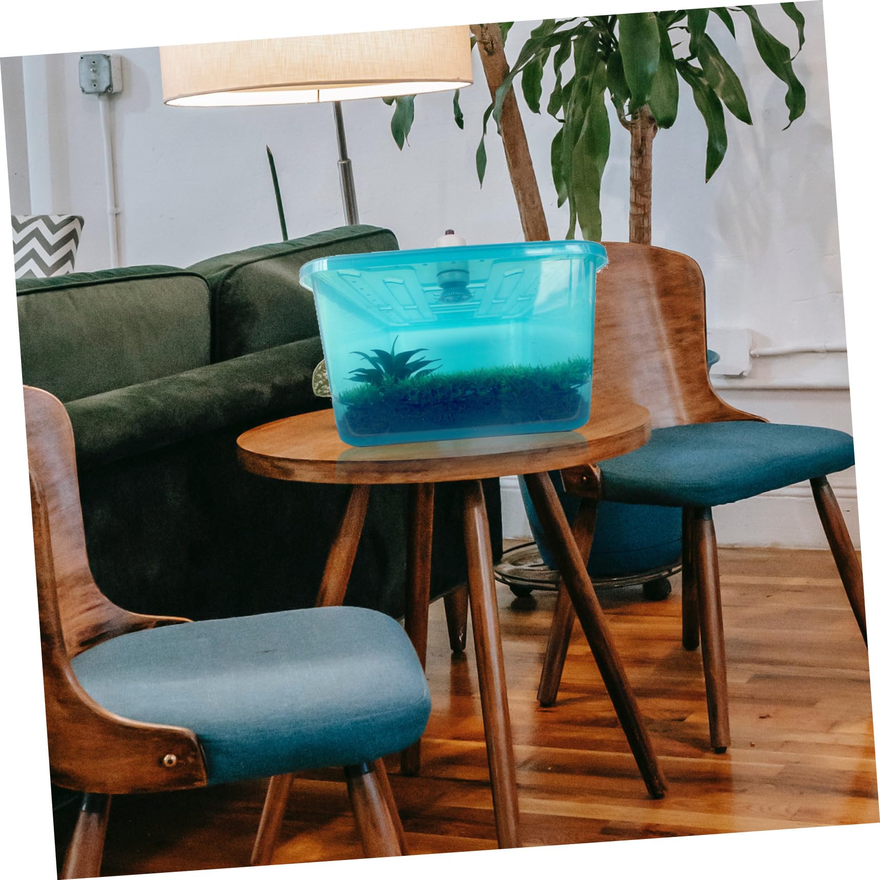 TEHAUX Terrario per Tartarughe di Terra in Plastica Blu con Pendenza Integrata e Funzione di Contenimento Acqua per Rettili Domestici