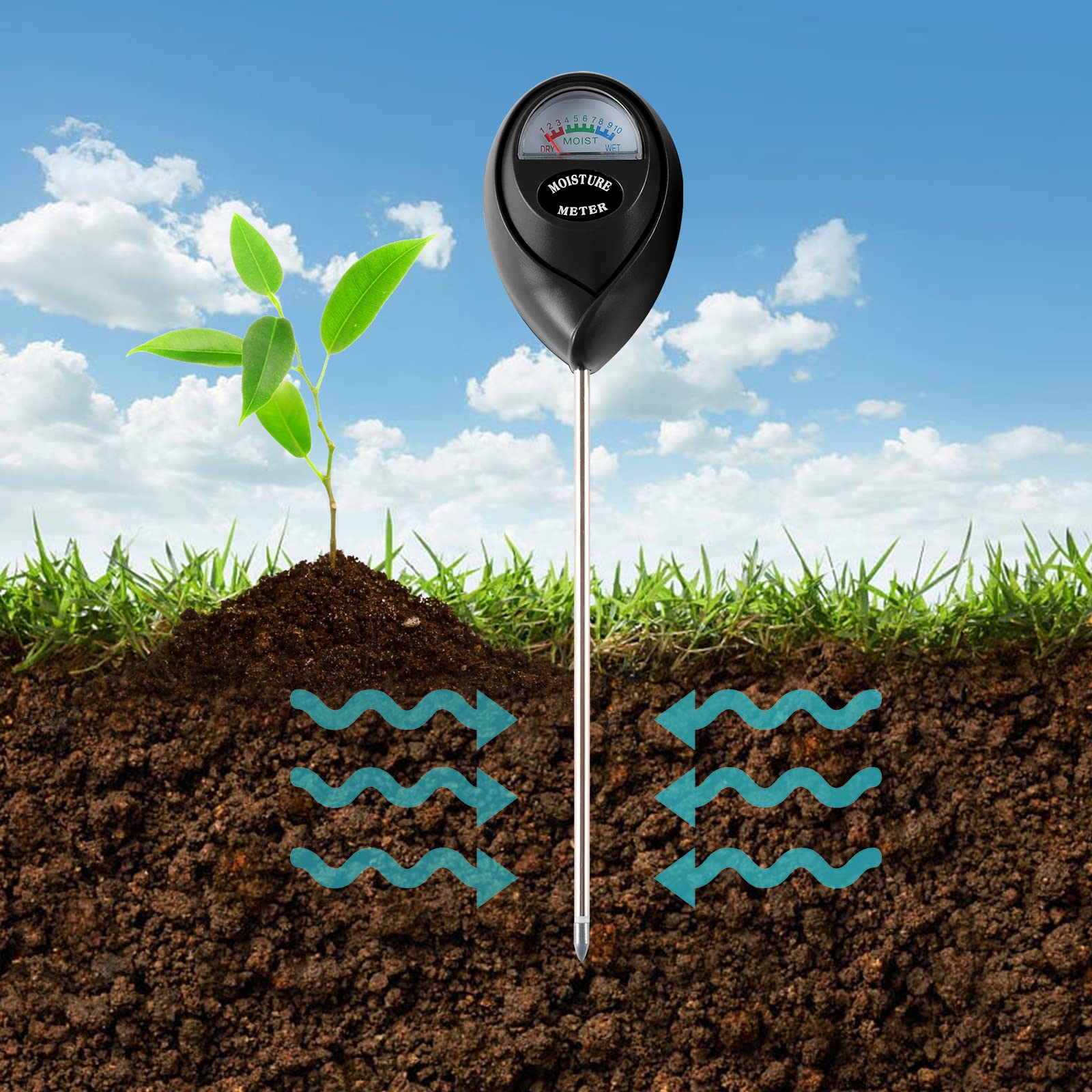 View 6