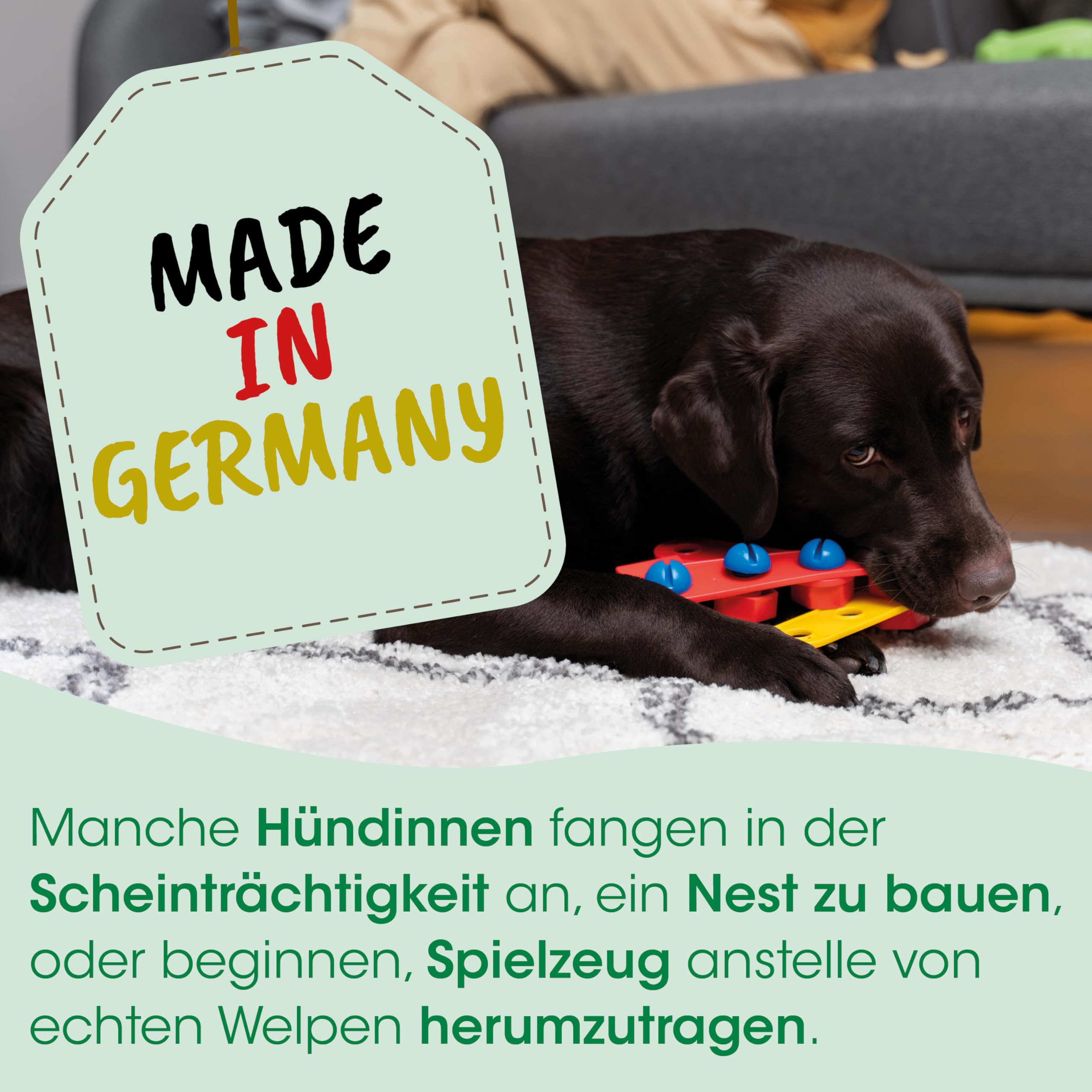 cdVet Naturprodukte ZyklusRegulat 300 g - Unterstützt Läufigkeit und Scheinträchtigkeit - Ergänzungsfuttermittel Hund