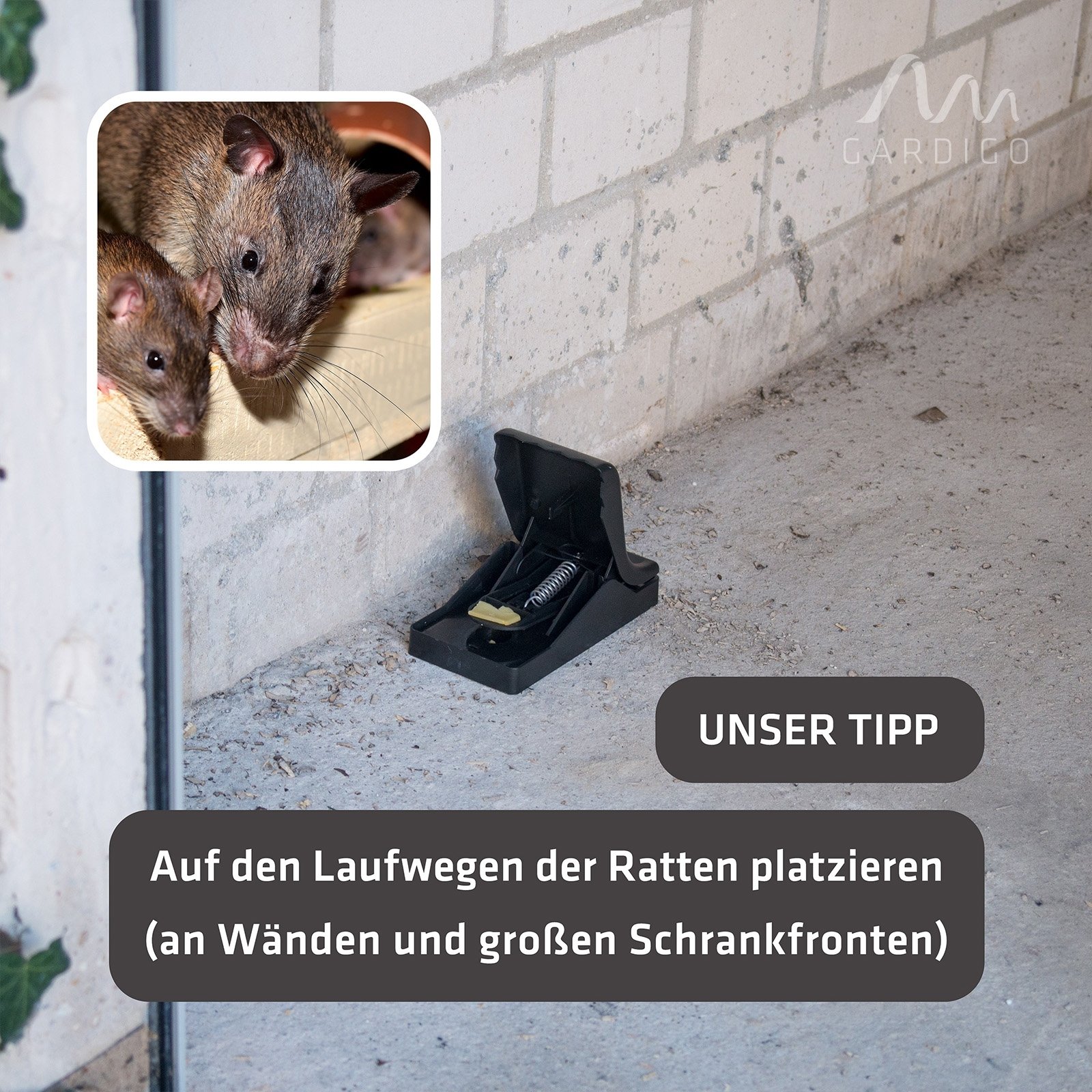 GARDIGO Profi Rattenfalle inklusive langzeit Kder I Wiederverwendbare  Schlagfalle fr Ratten ohne Gift : Amazon.de: Garten