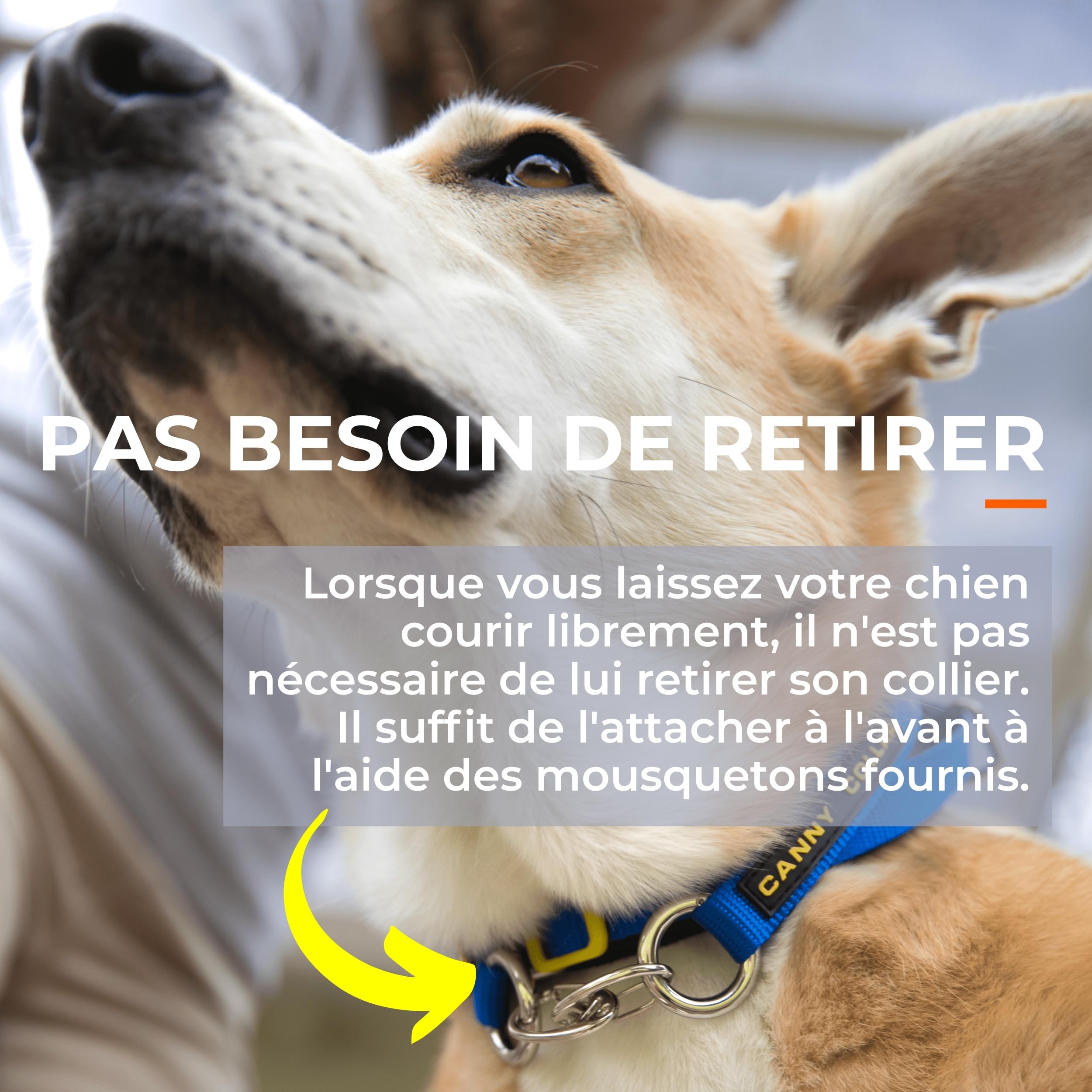 Canny Collar – Licol de Dressage Anti-Traction pour Chien | Apprend à Ne Pas Tirer en Laisse | Doux, Confortable et Sûr | Facile à Utiliser – Noir, Taille 7