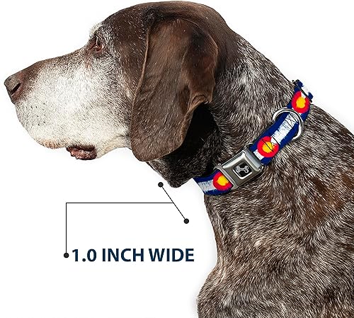 Miniatura 6 de Buckle-Down Collar de perro de 18 a 32 pulgadas Colorado Flags2 Repeat Weathered, ancho grande