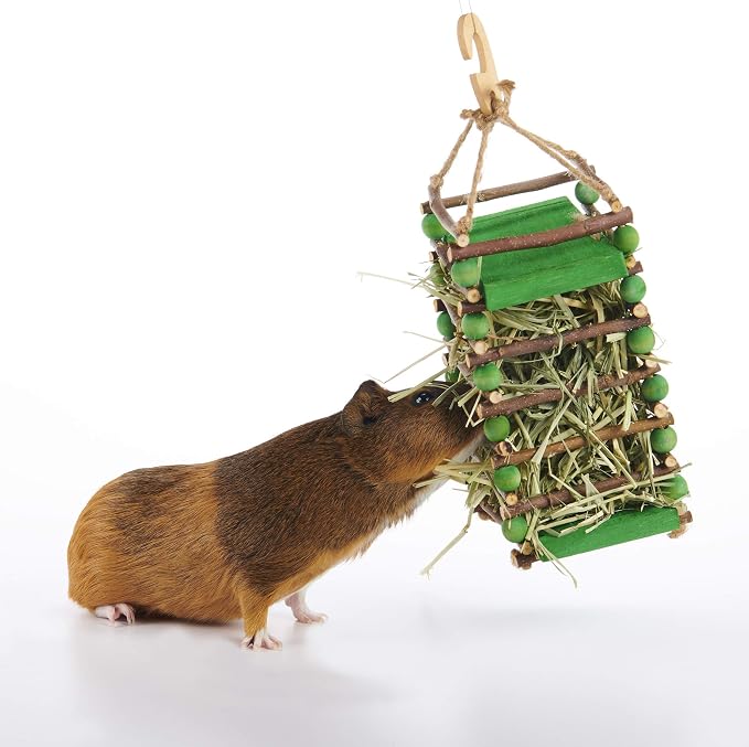 Oxbow Apple Stick Hay Feeder para mascotas pequeñas miniatura 5